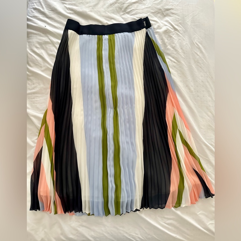 Express Striped Skirt